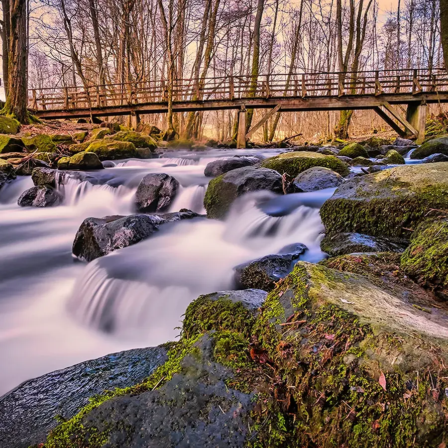 Blick in die Holzbachschlucht